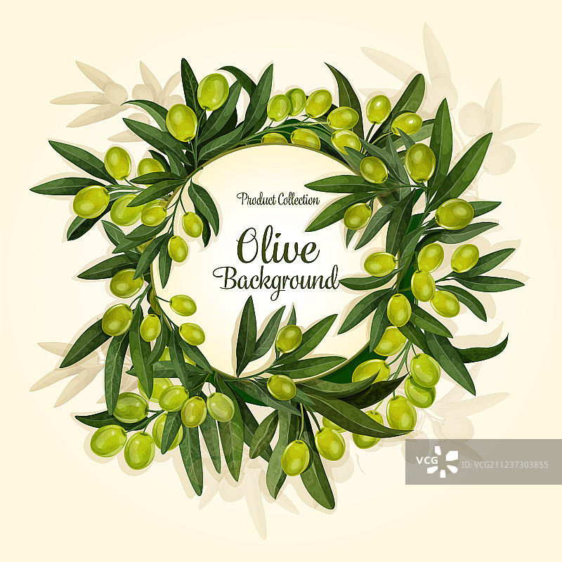 特级初榨橄榄油橄榄枝图片素材