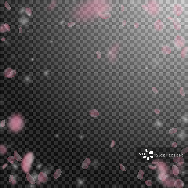 樱花花瓣飘落，浪漫的粉红色花朵图片素材