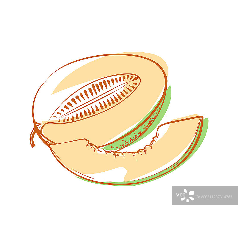 成熟的甜瓜图标图片素材