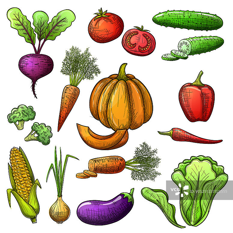 蔬菜合集图片素材