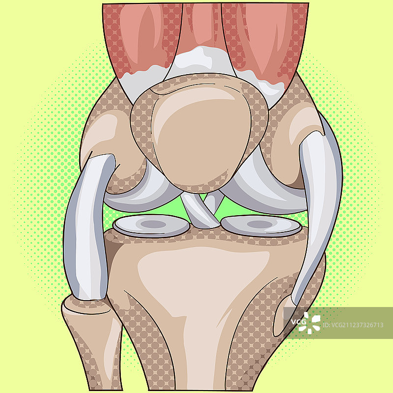 膝关节的解剖结构波普艺术图片素材