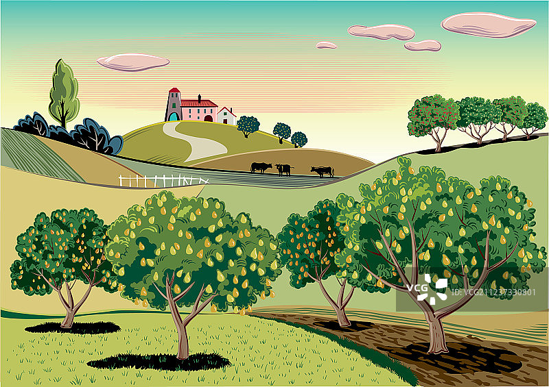 梨树果园图片素材