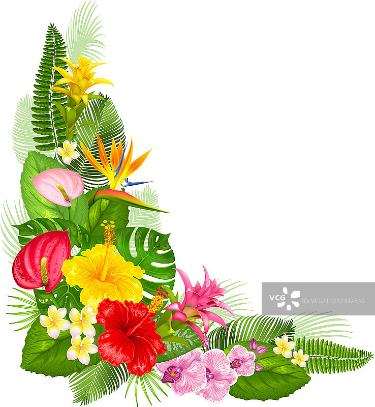 热带边角设计图片素材