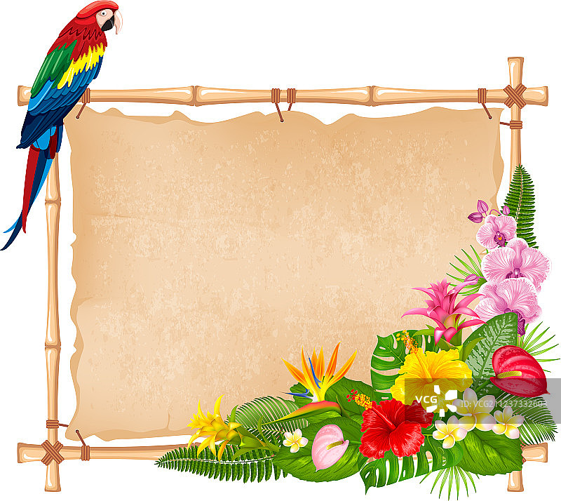 热带夏季边框设计图片素材