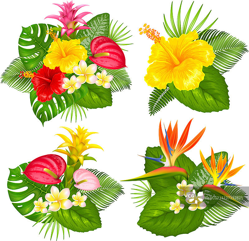 热带花束套装图片素材