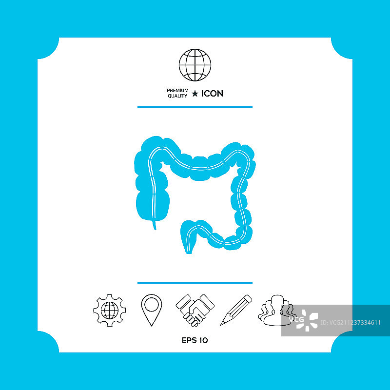 人体器官：大肠图片素材