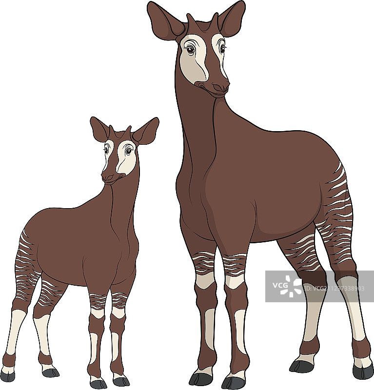 带㺢㹢狓图案的彩色背景图片素材