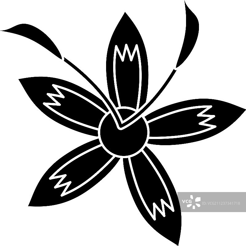 萱草花美丽植物象形图图片素材