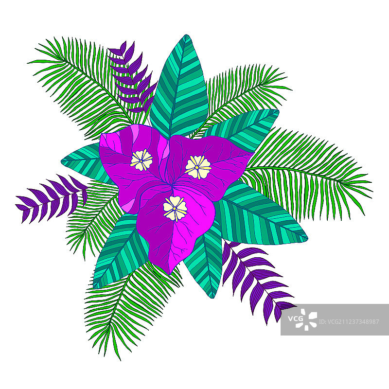 棕榈叶九重葛热带花束图片素材