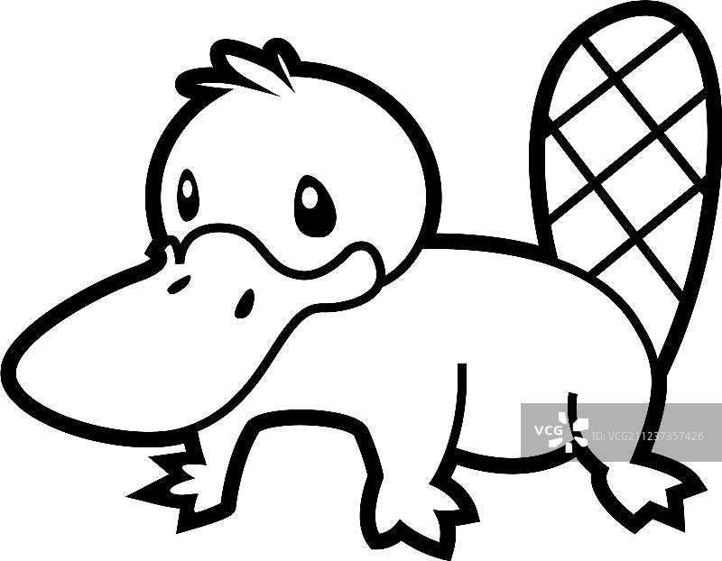 鸭嘴兽线条图片素材