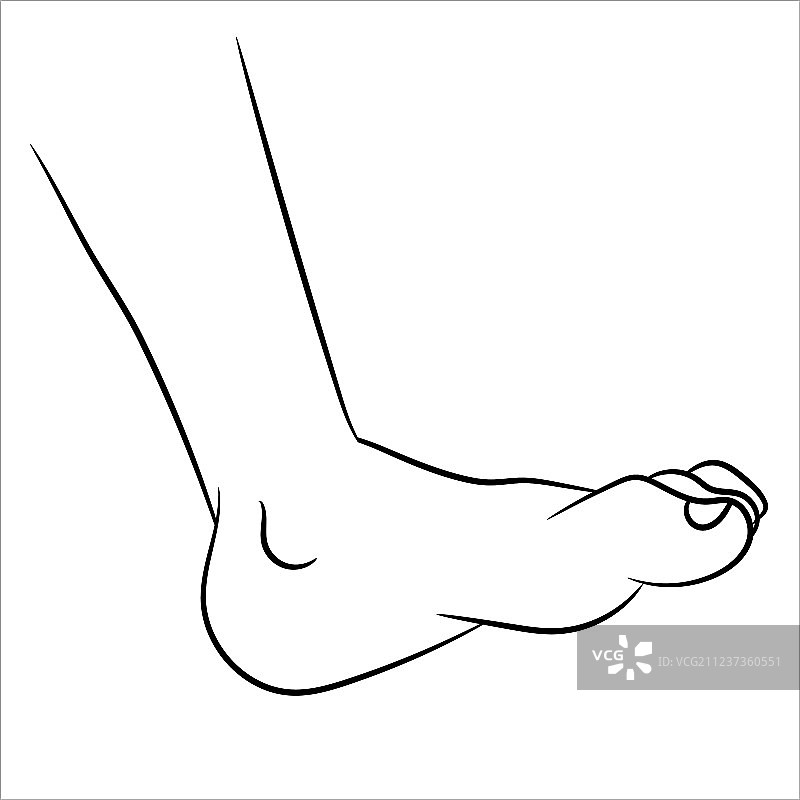 卡通脚部线条图片素材