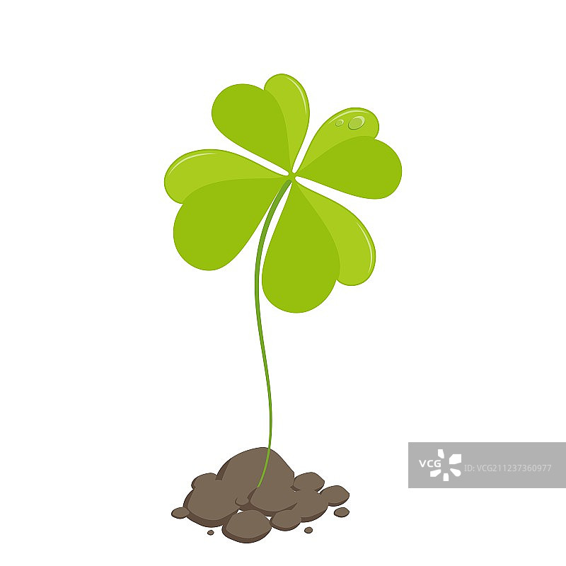 三叶草圣帕特里克节图片素材