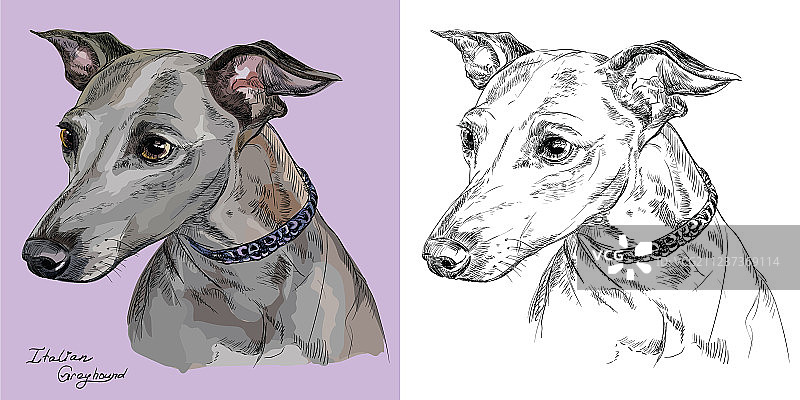 彩色和单色手绘人像图片素材