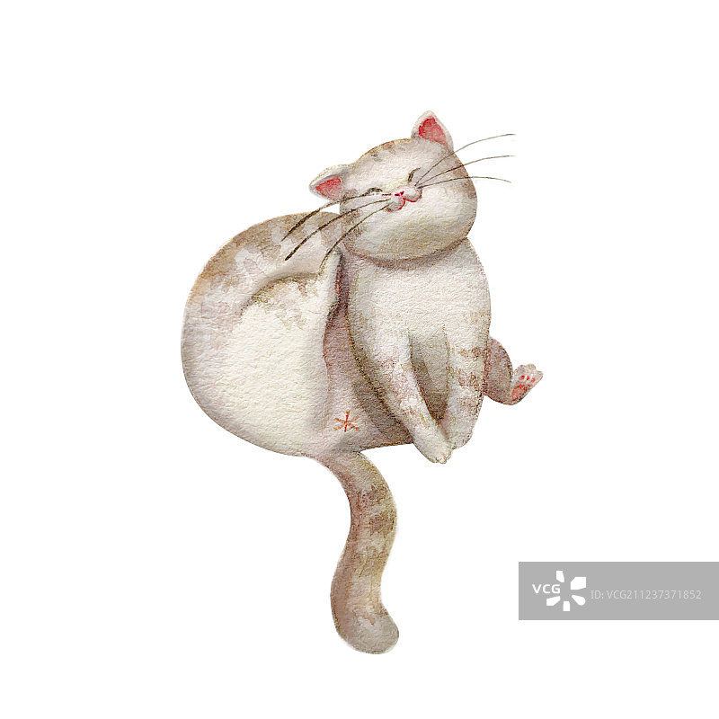 懒猫系列 乐乐图片素材