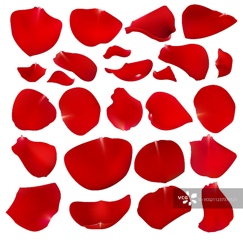 一组深红色玫瑰花瓣图片素材