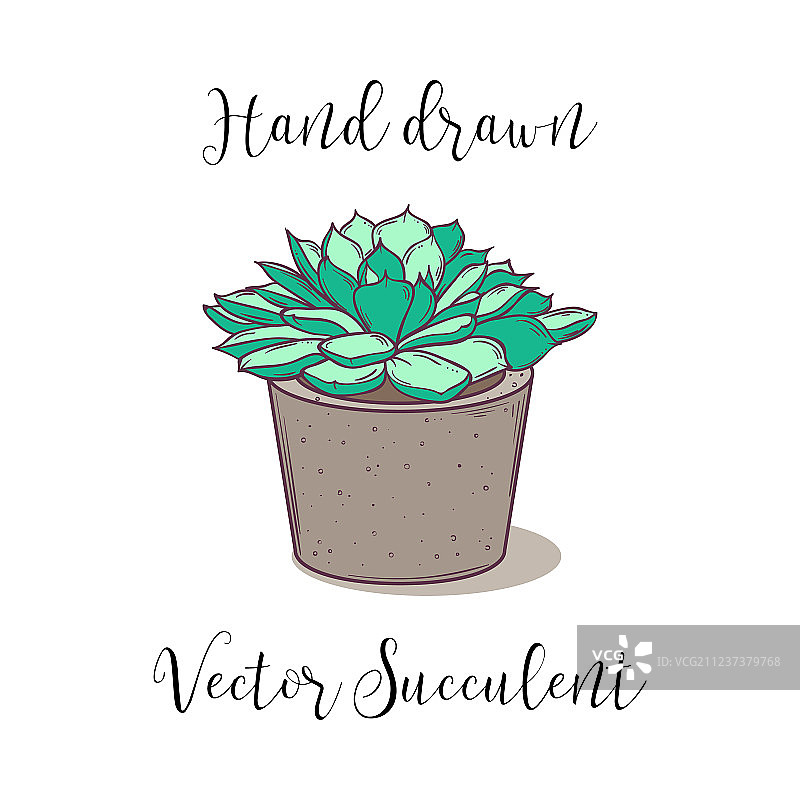 可爱的彩色手绘多肉植物图片素材
