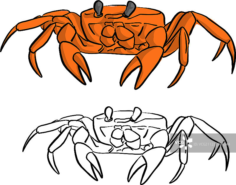 橙色螃蟹涂鸦图片素材