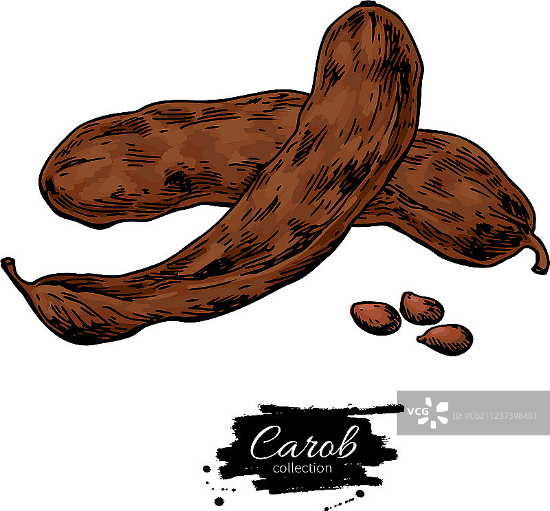 手绘分离的长豆角超级食品图片素材