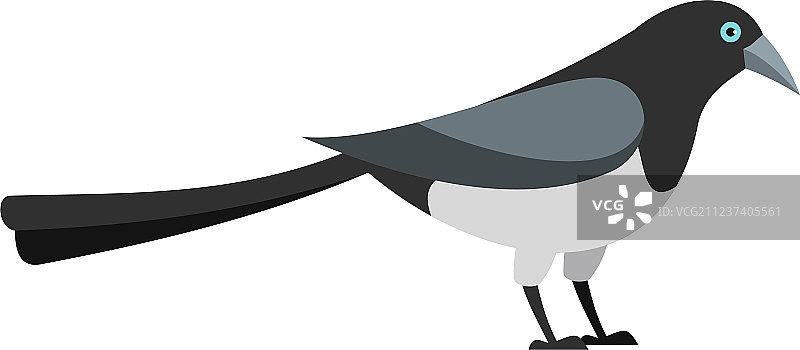 站立的喜鹊图标扁平风格图片素材