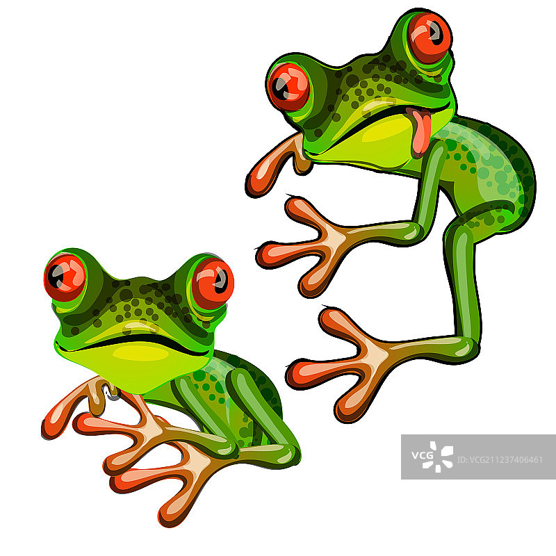 绿树蛙拥抱一个想象中的物体图片素材