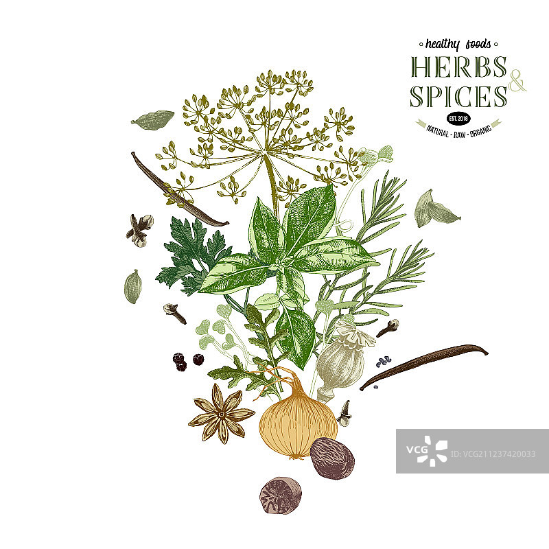 手绘草药和香料背景图片素材