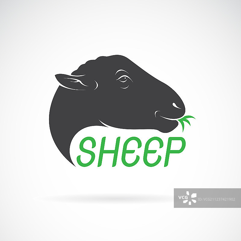 白色背景上的绵羊头设计图片素材