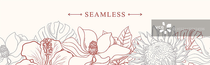热带花卉边框无缝草图图案图片素材