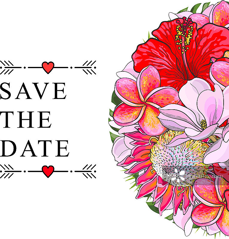 用于婚礼请柬的热带花卉图片素材