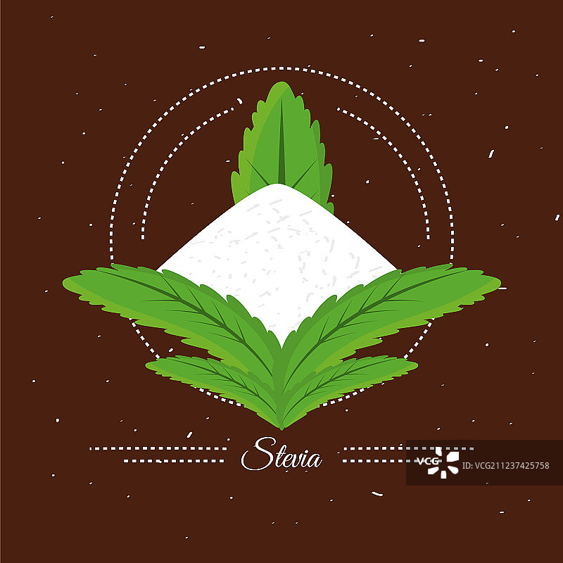 带叶子的天然甜味剂甜叶菊图片素材