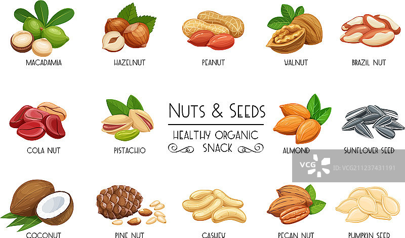 坚果和种子图标集图片素材