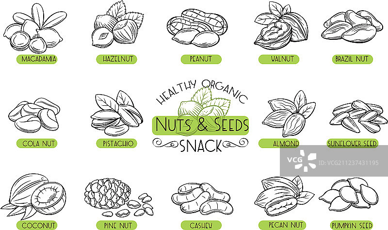 坚果和种子图标集图片素材