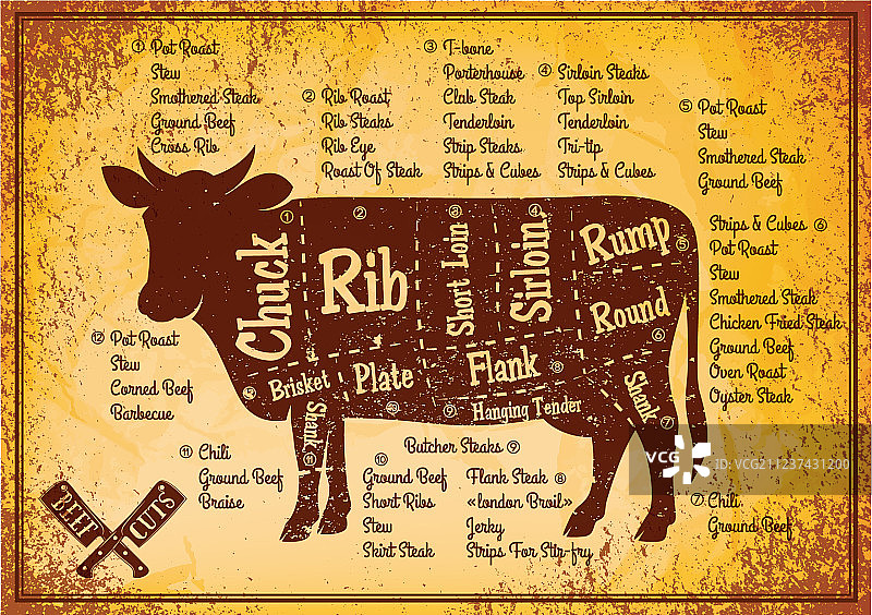 奶牛分割图彩色海报图片素材