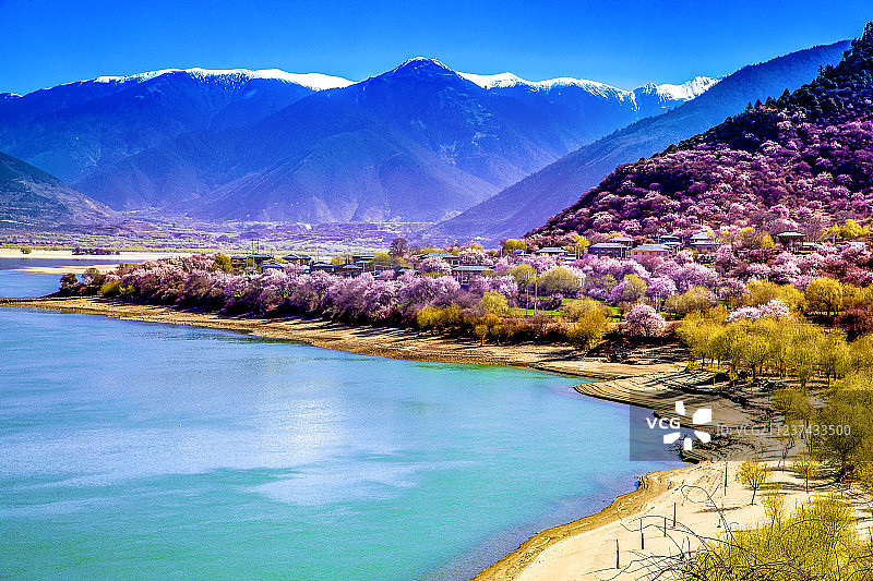 三月林芝桃花季图片素材