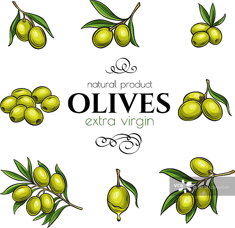 手绘橄榄合集图片素材