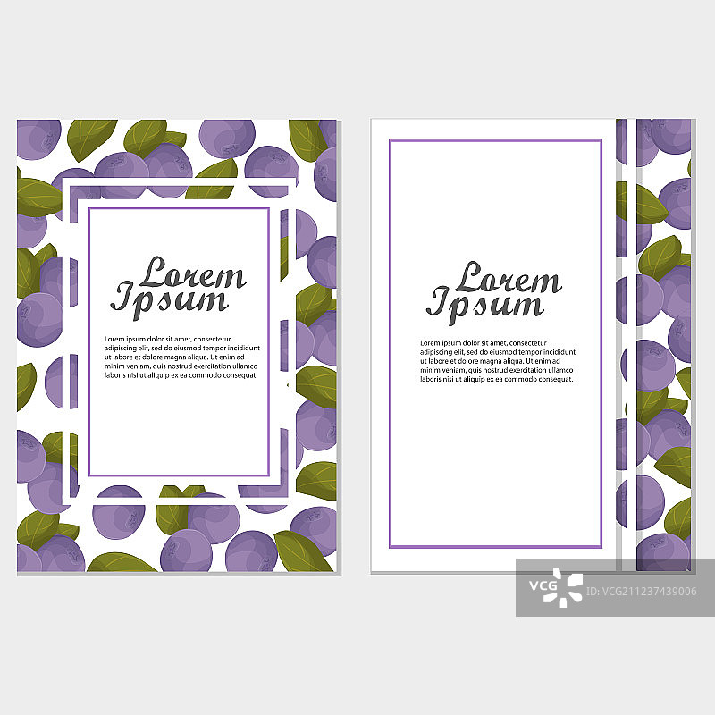 蓝莓标签或卡片背景图片素材