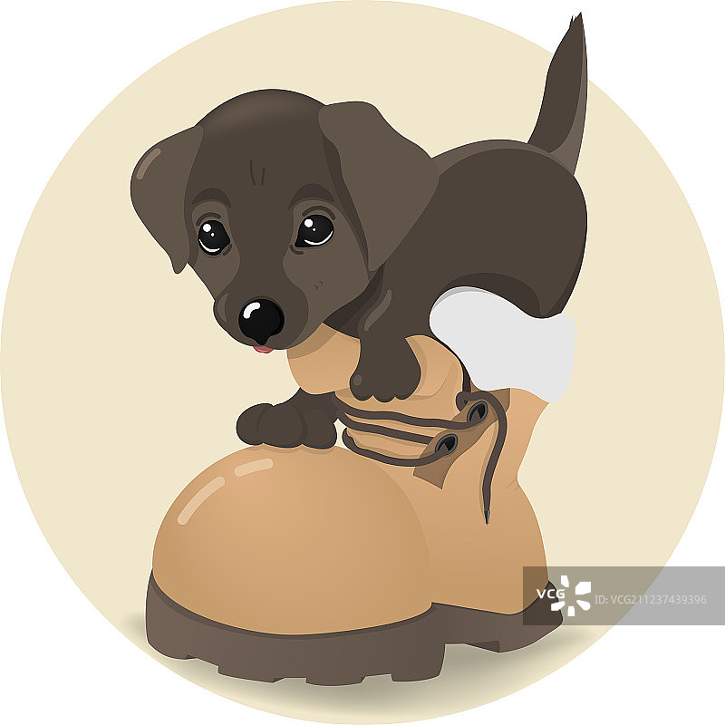 小狗坐在靴子里，然后自己爬了出来图片素材