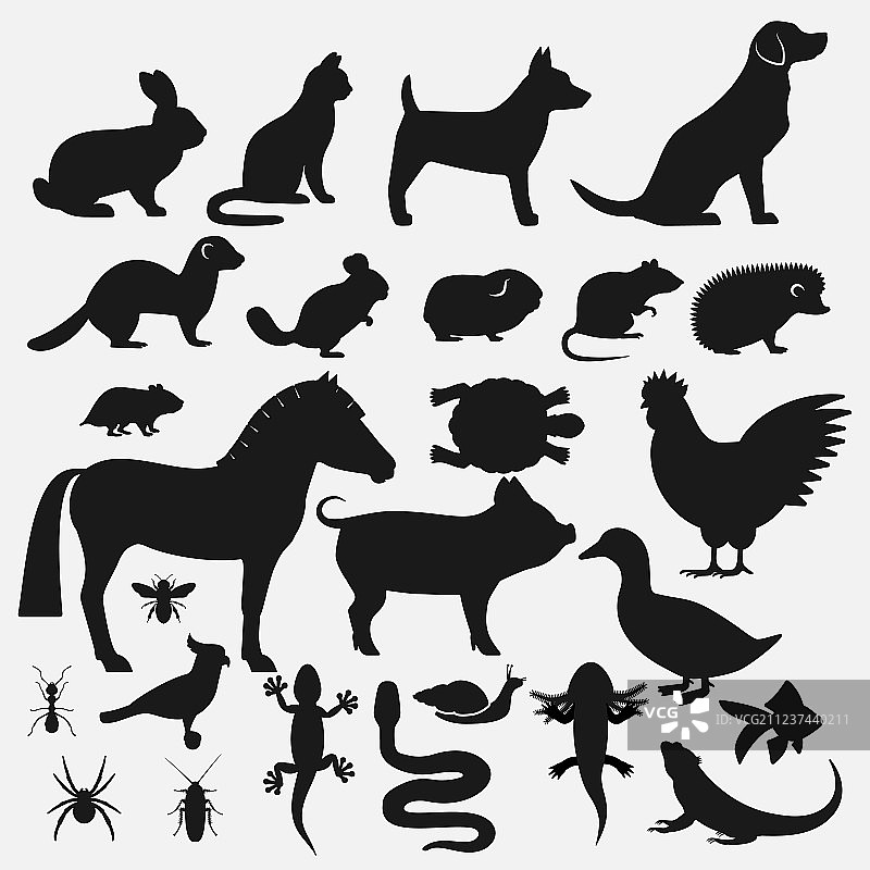 宠物剪影图标集图片素材