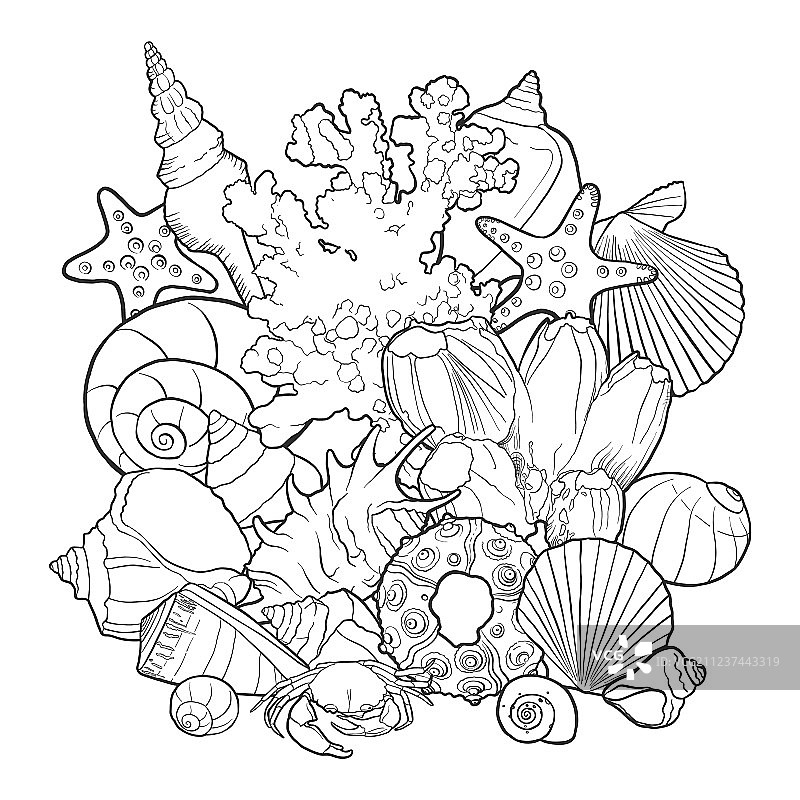 贝壳背景图片素材