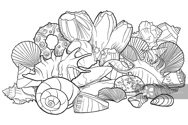 贝壳背景图片素材