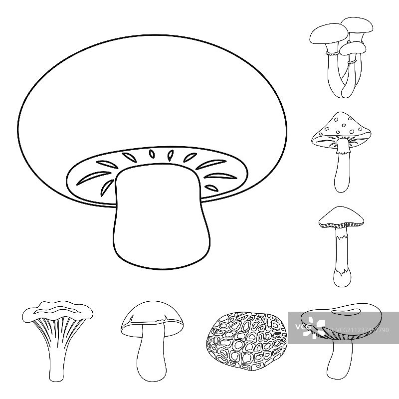 有毒可食用蘑菇线稿图标集图片素材