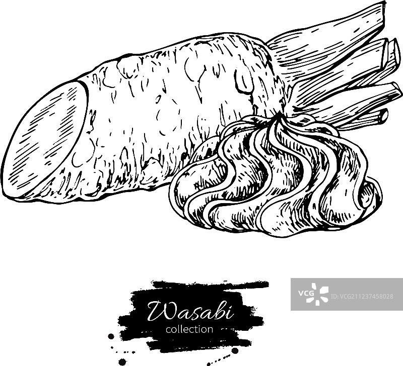 芥末根切片与酱汁图片素材