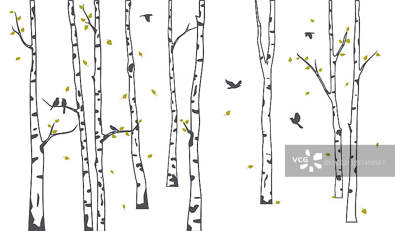 白桦树与鹿和鸟剪影图片素材