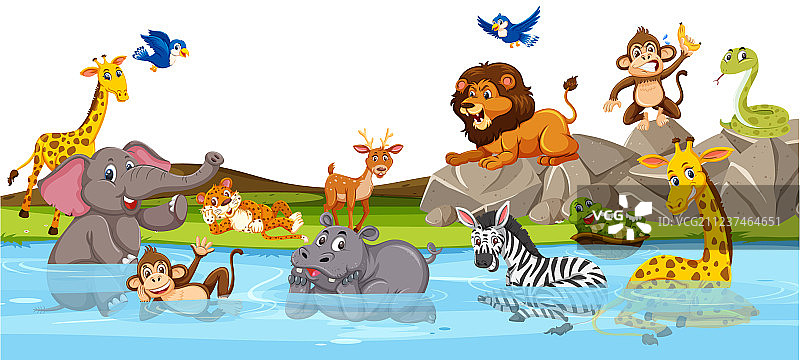 河边的野生动物图片素材