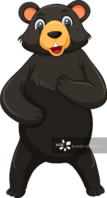 白色背景上的黑熊图片素材