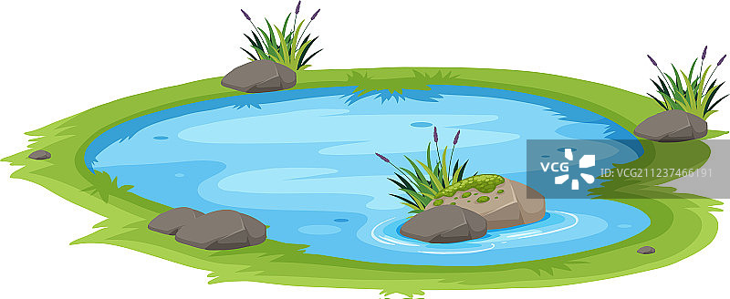 白色背景的天然池塘图片素材