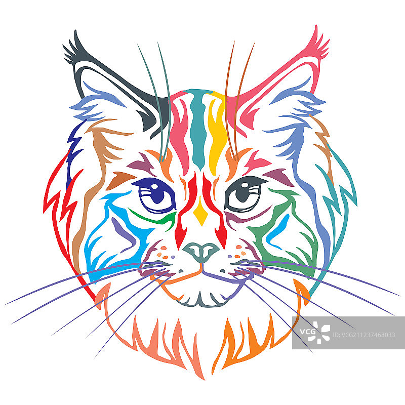 缅因猫的彩色装饰肖像图片素材