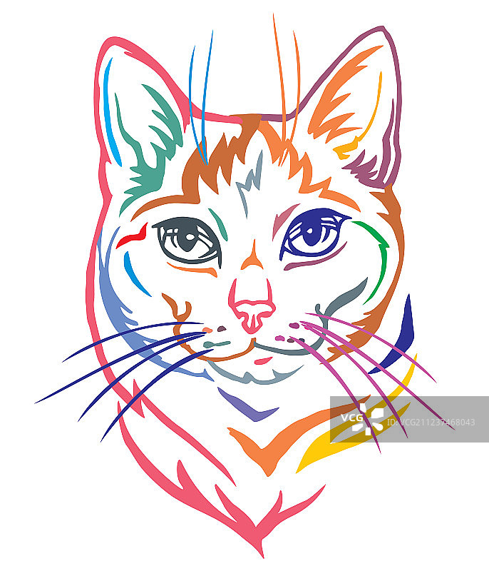 混种猫的彩色装饰肖像图片素材