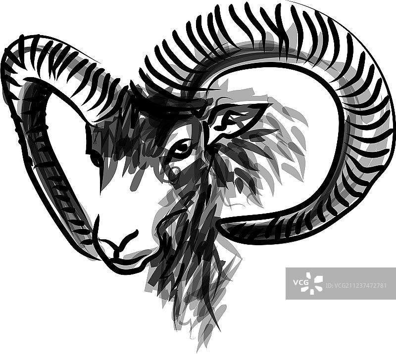 盘羊头部墨水素描图片素材