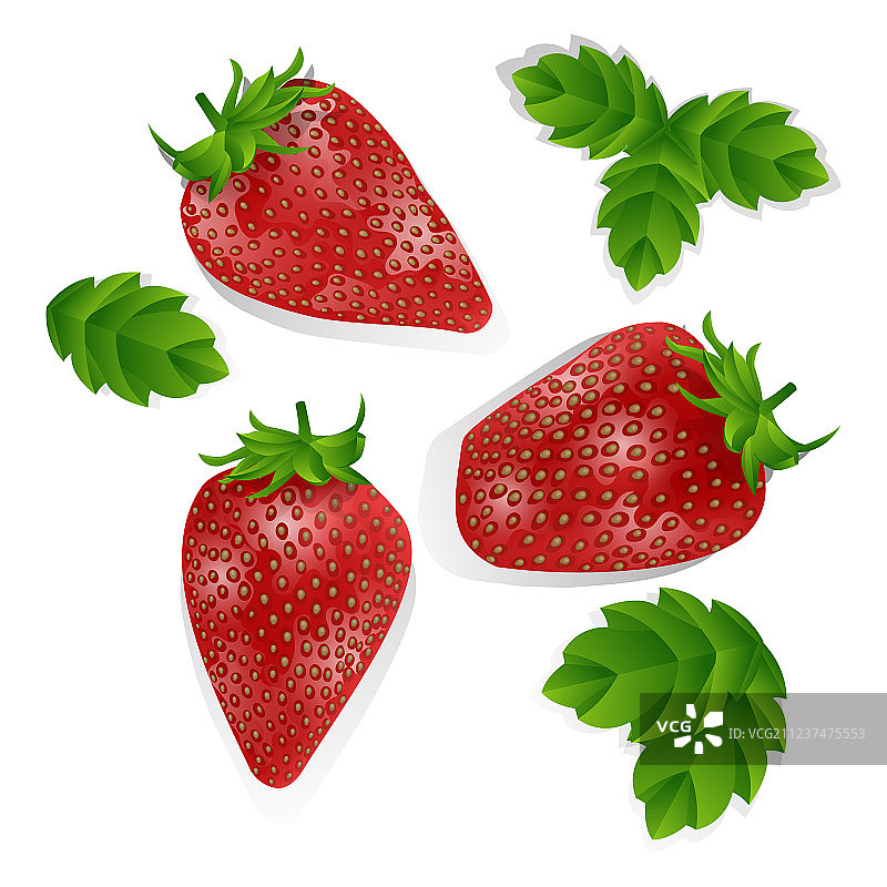 一组逼真的新鲜草莓图片素材