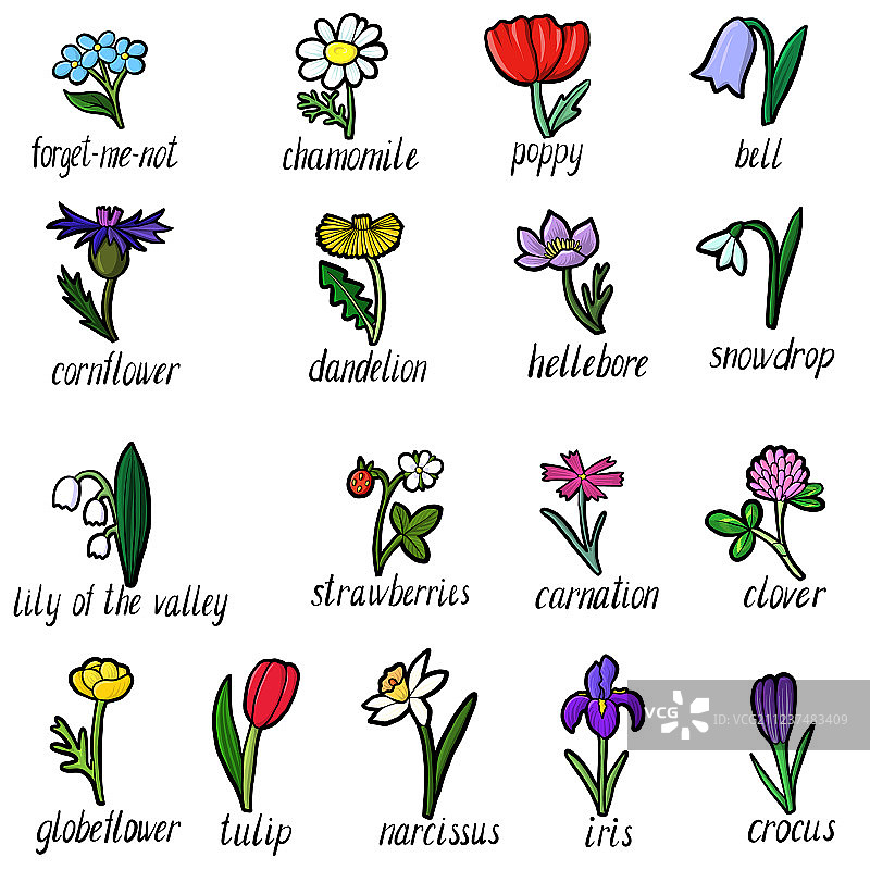 花卉素材图片素材